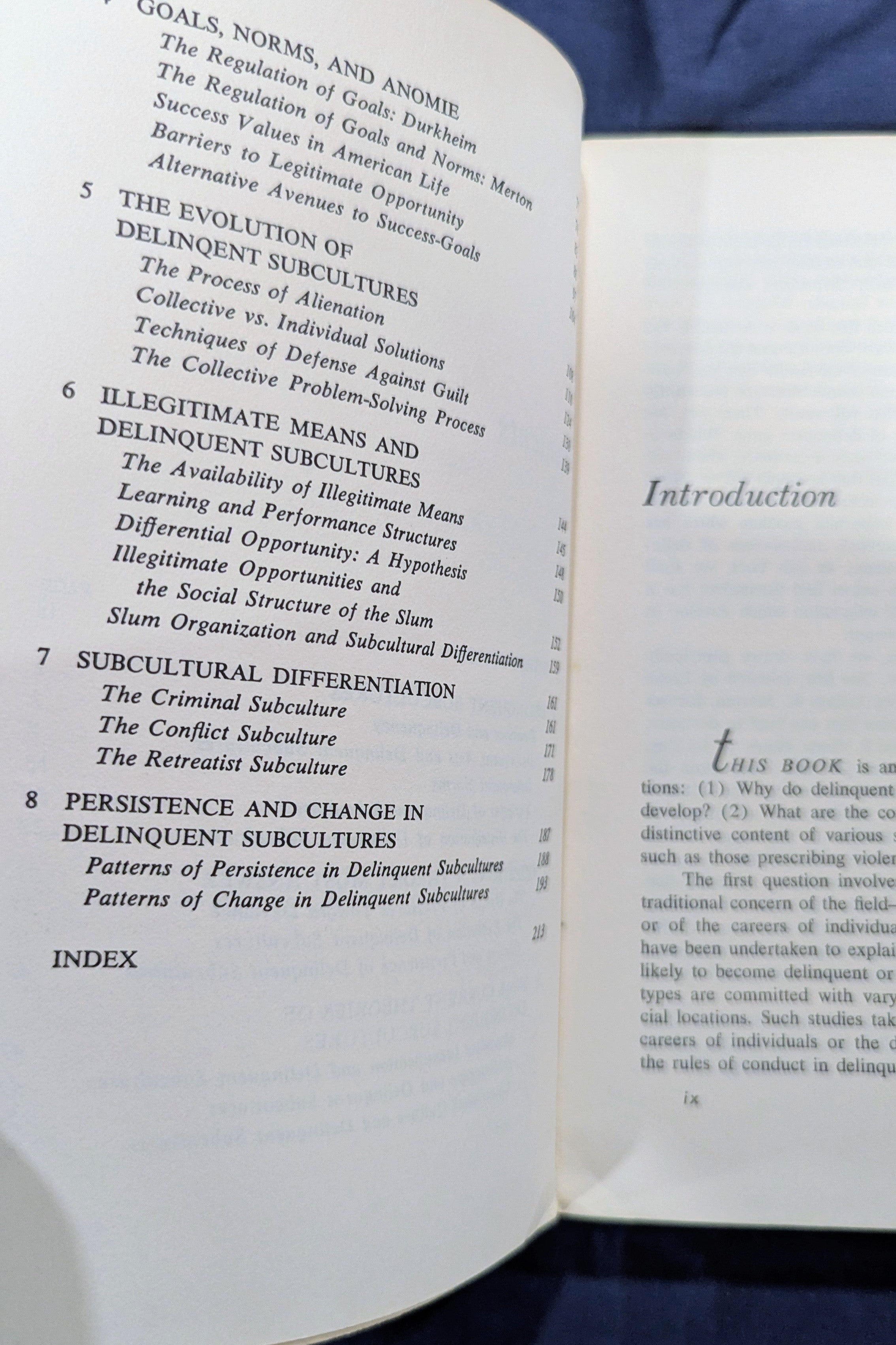 "Delinquency and Opportunity: A Theory of Delinquent Gangs" by Cloward & Ohlin (Vintage 1960s Paperback)