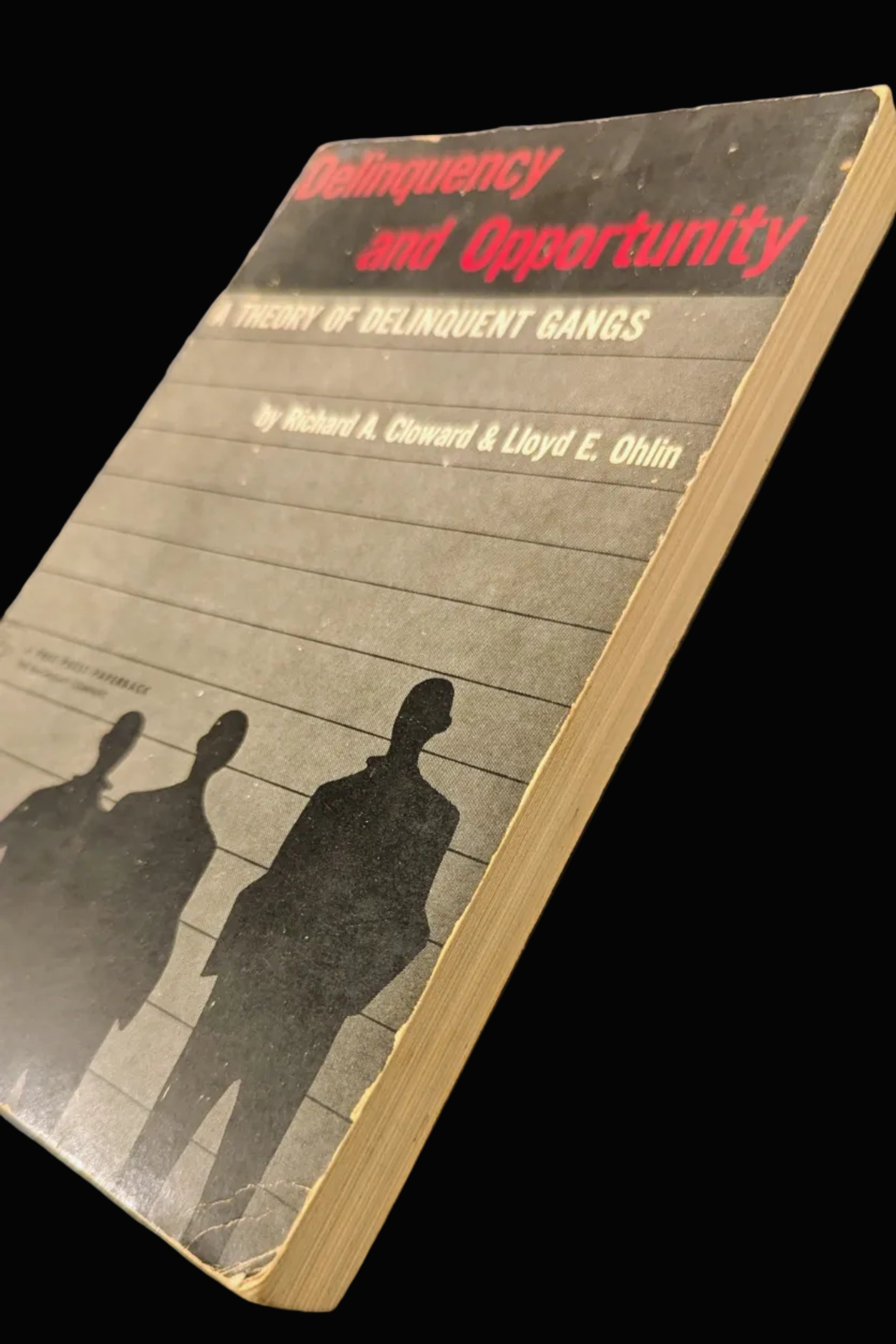 "Delinquency and Opportunity: A Theory of Delinquent Gangs" by Cloward & Ohlin (Vintage 1960s Paperback)