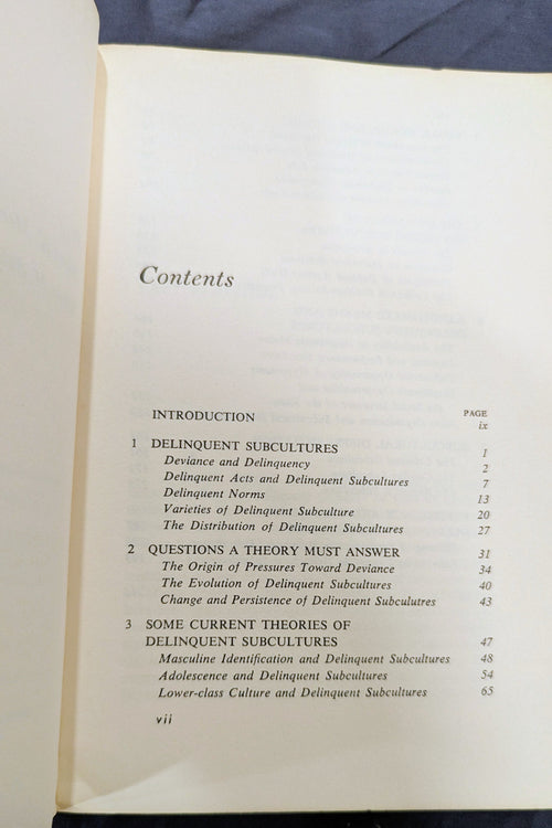 "Delinquency and Opportunity: A Theory of Delinquent Gangs" by Cloward & Ohlin (Vintage 1960s Paperback)
